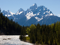 snakeriver140